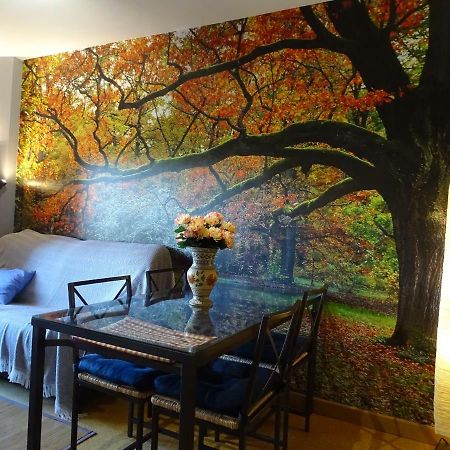 2 Balcones A La Hoz Apartment Cuenca  Luaran gambar